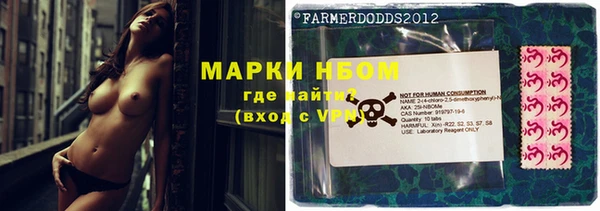 гидра Вязники