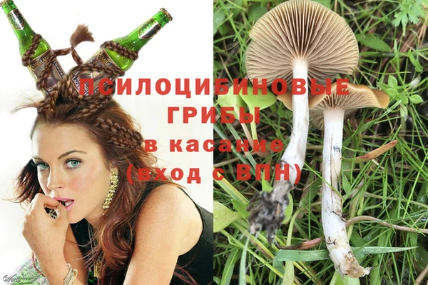 синтетический гашиш Вяземский