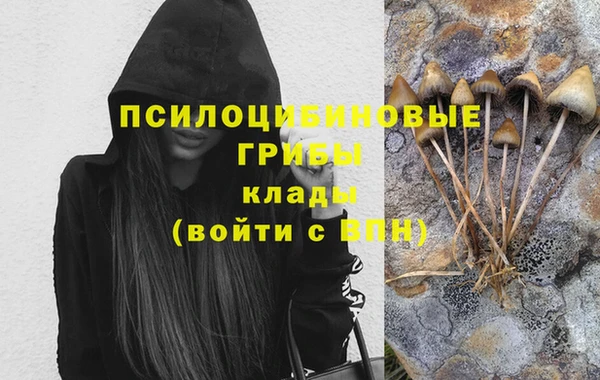 МДПВ Горняк