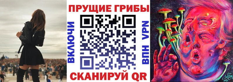 Псилоцибиновые грибы GOLDEN TEACHER  продажа наркотиков  Очёр 
